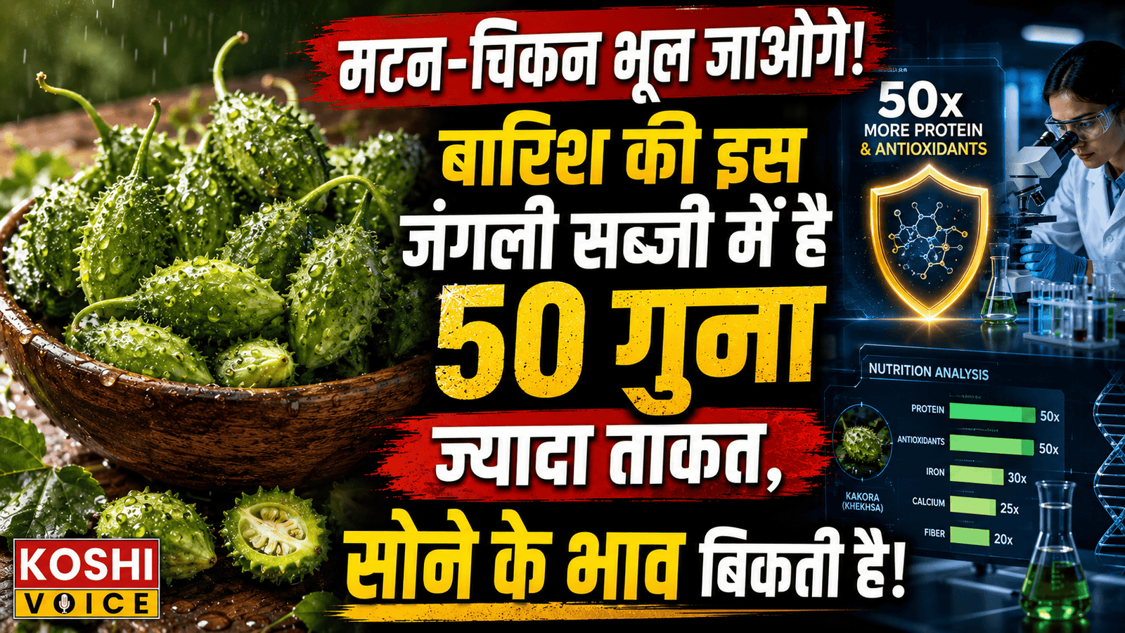 🚨 बरसात के मौसम का ‘सुपरफूड’: ककोड़ा (खेखसा) की खेती और फायदे, चिकन-मटन से 50 गुना ज्यादा ताकत और सोने के भाव बिकती है यह जंगली सब्जी! 🚨